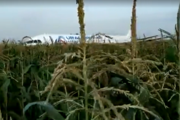 Появилось видео эвакуации пассажиров севшего в кукурузном поле самолета