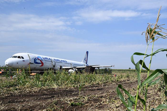 Появилось видео уничтожения севшего на кукурузное поле самолета A321