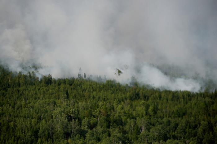 Пожарам в Сибири предсказали спад