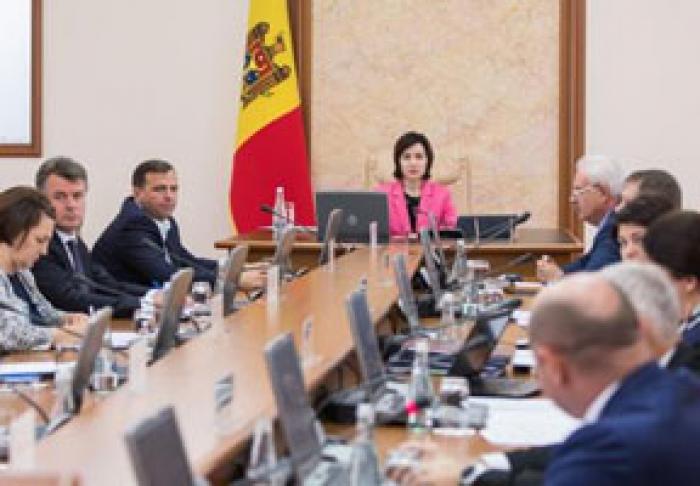PREMIERUL A CERUT SĂ FIE LUATE MĂSURI PENTRU A ÎNLĂTURA MONOPOLUL LA EXPORTUL DE NUCI