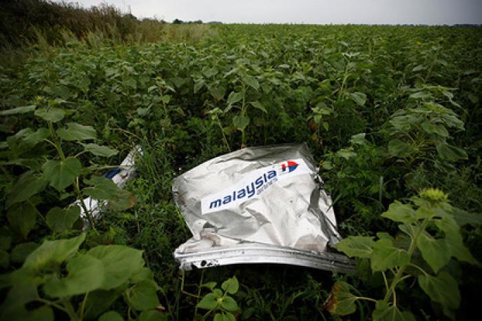 Суд по делу сбитого «Боинга» MH17 призвали перенести