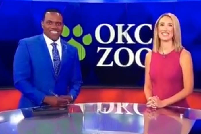 Телеведущая назвала темнокожего коллегу похожим на животное и разъярила зрителей