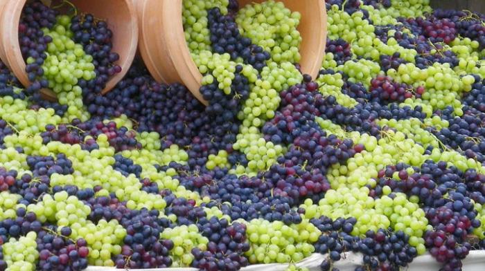 В Чимишлии прошел седьмой фестиваль винограда