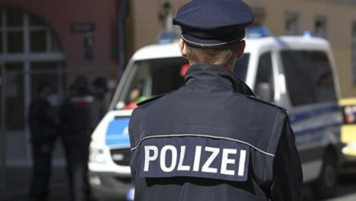 В Германии осы помогли арестовать преступника