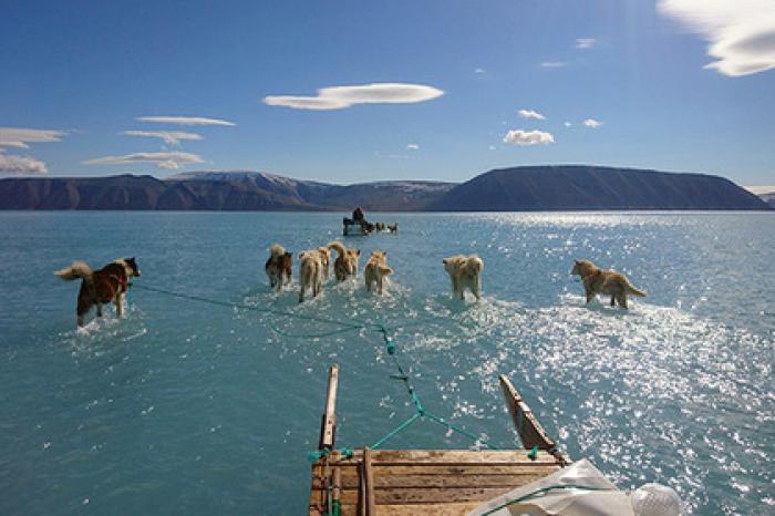 В Гренландии зафиксировали катастрофическое таяние льда