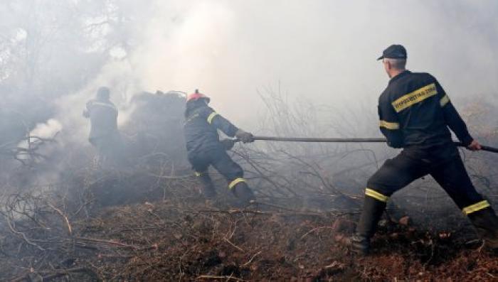 В Греции локализовали лесные пожары на острове Самос