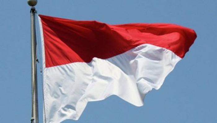В Индонезии одобрили место для новой столицы