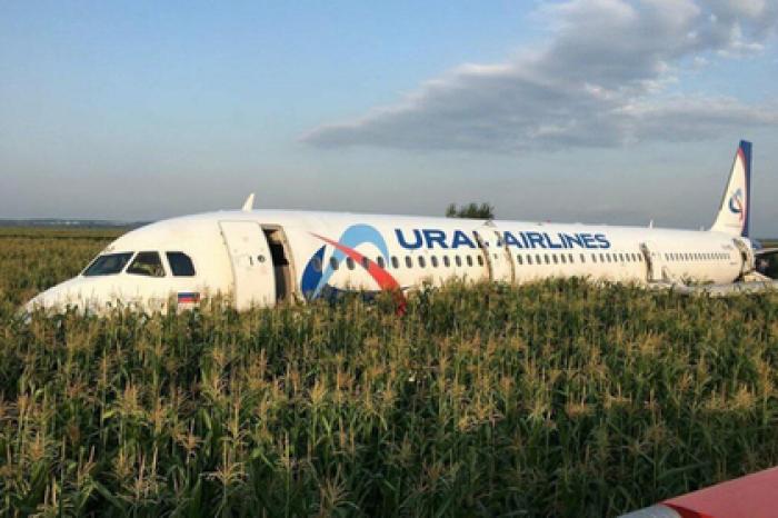 Восстановлена хронология посадки Airbus в кукурузном поле