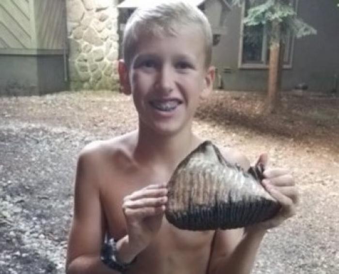 В США мальчик случайно нашел зуб мамонта