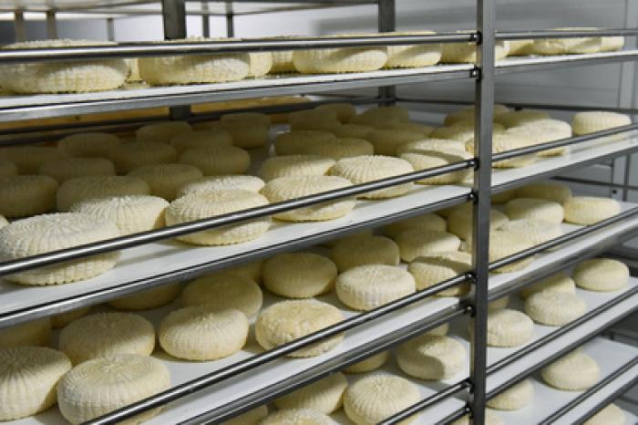 Завод по производству сыров построят в Наро-Фоминском округе