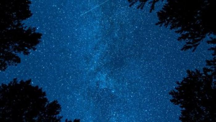 Звездопад Персеиды 2019: когда можно увидеть красивейшее астрономическое явление года