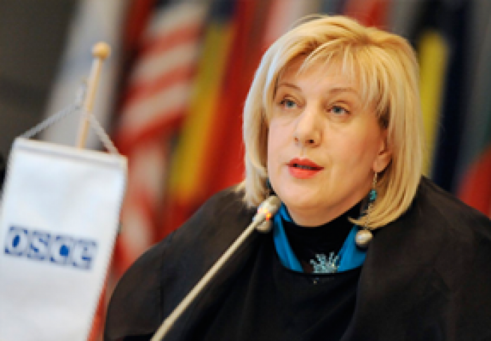 КОМИССАР СЕ ПО ПРАВАМ ЧЕЛОВЕКА ОБЕСПОКОЕНА ПОПЫТКАМИ ВЛАСТЕЙ РЯДА СТРАН ОКАЗАТЬ ДАВЛЕНИЕ НА СУДЕБНУЮ СИСТЕМУ