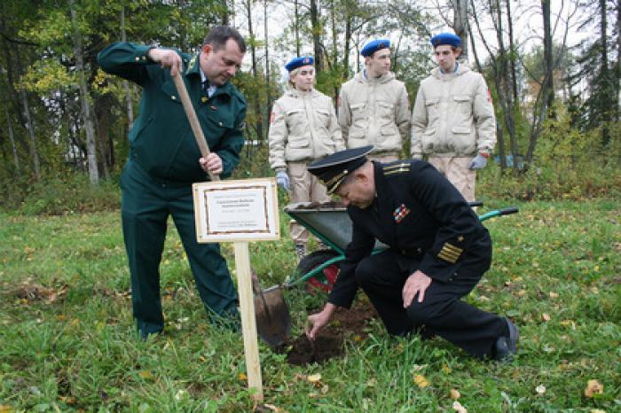 В российском городе заложили аллею в память о погибших в ВОВ