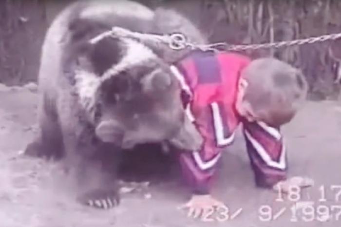Защитники животных взялись за Нурмагомедова из-за его борьбы с медведем