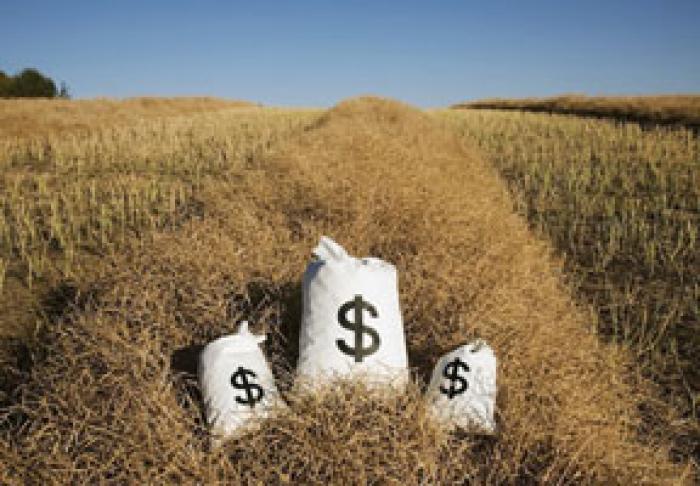 DE LA ÎNCEPUTUL ANULUI, AIPA A ACORDAT PRODUCĂTORILOR AGRICOLI SUBVENŢII ÎN SUMĂ DE 428 MIL. LEI