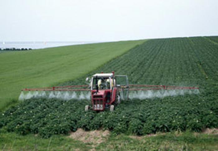 DEPUTAT: PESTE 1,6 MII DE TERENURI DIN MOLDOVA SUNT CONTAMINATE CU PESTICIDE