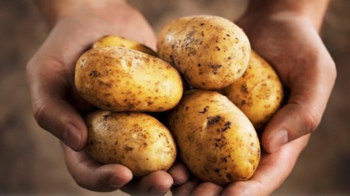 Фестиваль эко-картофеля прошел в селе Рышкова