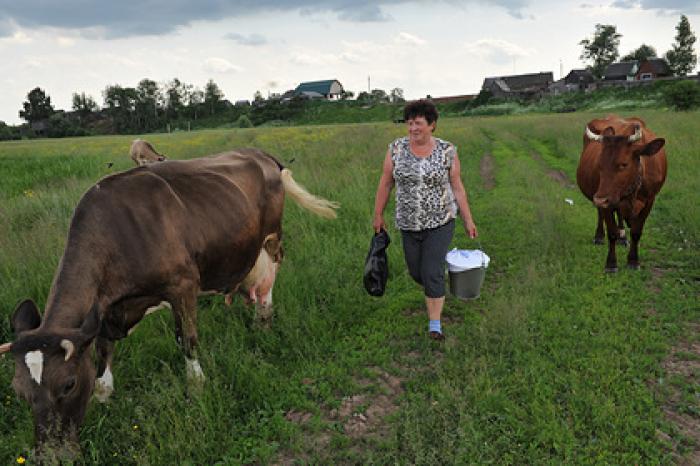 Госдума сократила рабочий день для части россиянок