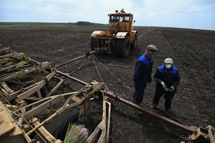 Курганских фермеров научат вести бизнес