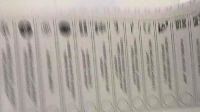 Михай Гимпу опубликовал размытое фото избирательного бюллетеня