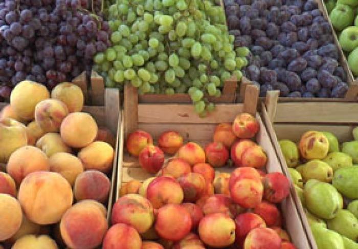 МОЛДОВА ОТГРУЗИЛА ЗА РУБЕЖ ВО ВТОРОМ КВАРТАЛЕ СВЫШЕ 110 ТЫС. Т СВЕЖИХ ФРУКТОВ И ВИНОГРАДА