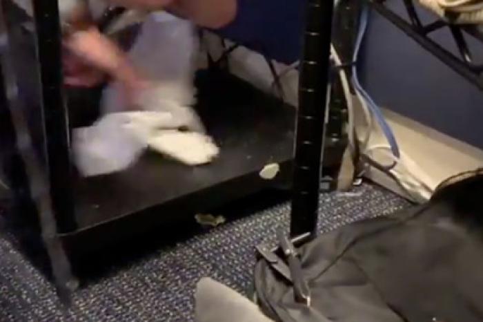 Мышь устроила переполох в Белом доме