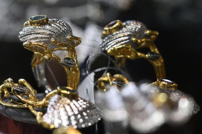 Подозреваемые в краже драгоценностей из магазина лжедорожники задержаны