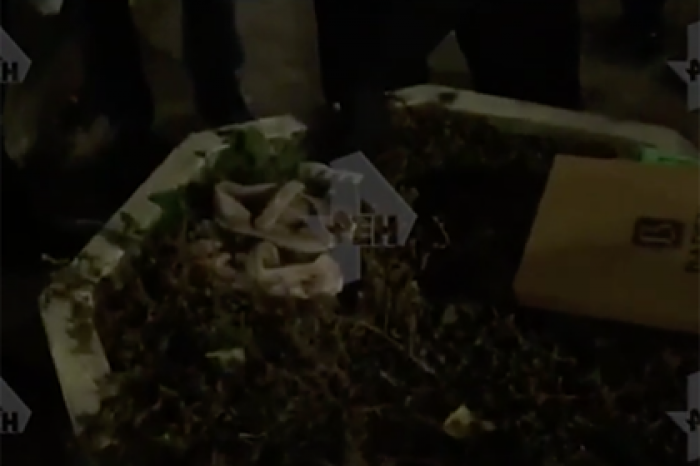 Появилось видео с места убийства школьницы в Саратове