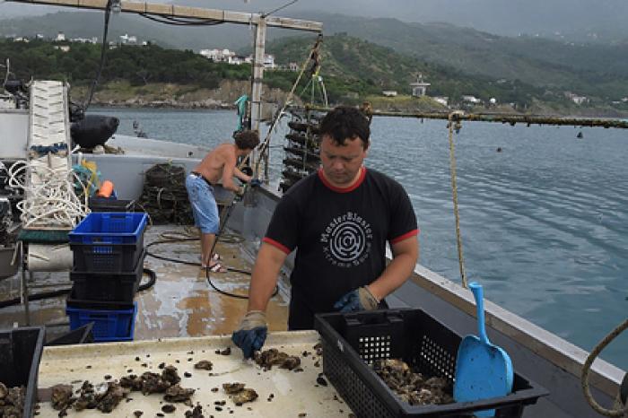 Предприниматели Крыма подадут заявки в первую Региональную лизинговую компанию