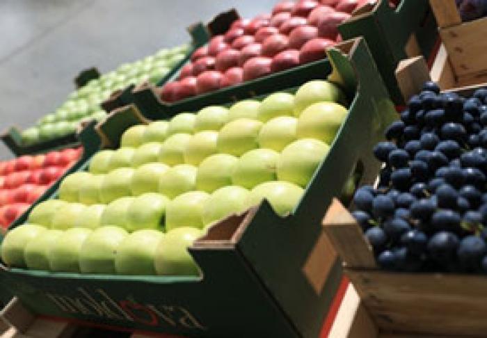 PROIECTUL USAID ŞI ASOCIAȚIA „MOLDOVA-FRUCT” AU LANSAT UN GHID CU RECOMANDĂRI PRIVIND EXPORTUL DE FRUCTE ÎN CONTAINERE MARITIME