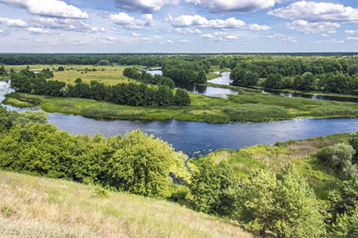 Рыбы помогут очистить реку в России