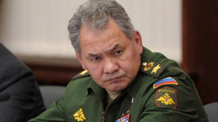 Санду уже не требует наказания за приём, оказанный Шойгу