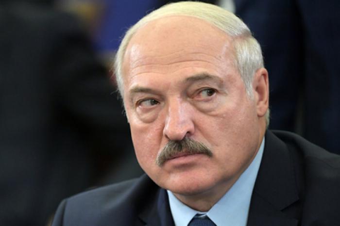 Стали известны подробности предстоящей встречи Лукашенко и Зеленского