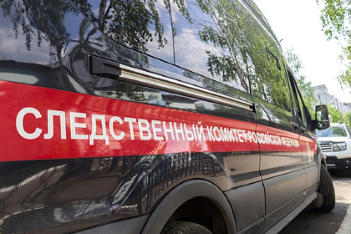 Ударившая ребенка в коляске россиянка избежит изъятия детей