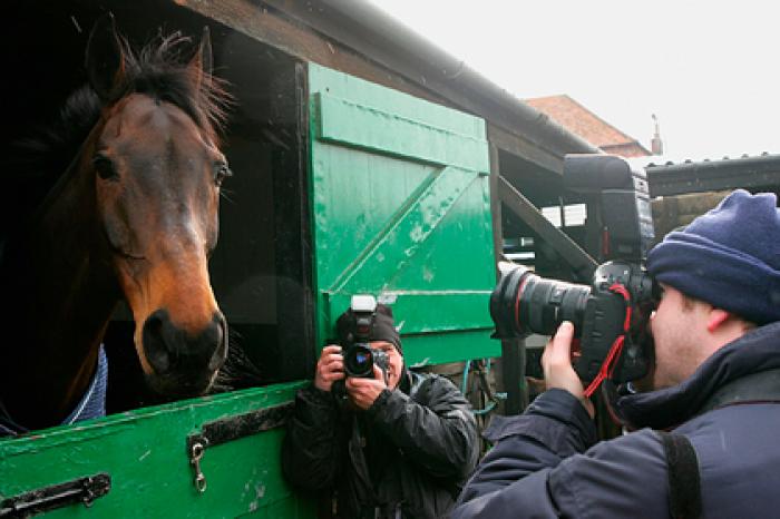 Ведущий детской передачи погорел на порно с животными