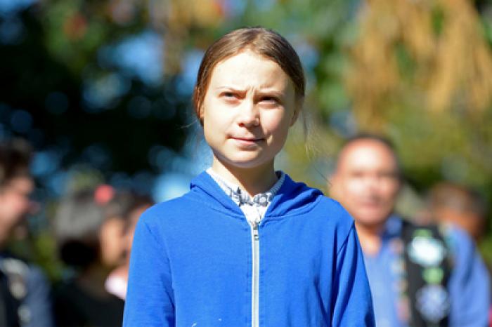 В Госдуме открестились от приглашения экоактивистки Тунберг