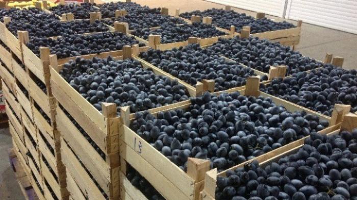 В Россию не пустили почти 40 тонн молдавской сливы и винограда
