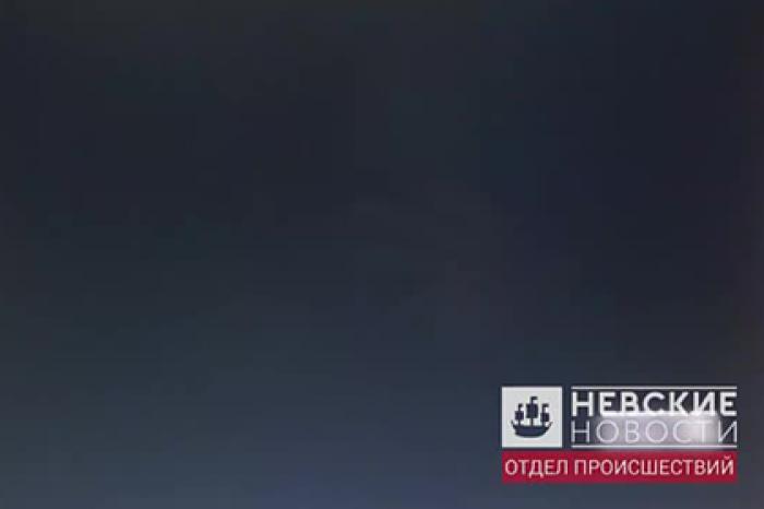 Появилось видео попытки самоубийства историка-расчленителя Соколова
