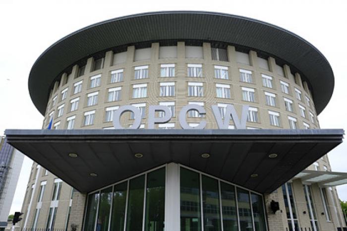 Россия отказалась давать деньги на обвинительный механизм ОЗХО