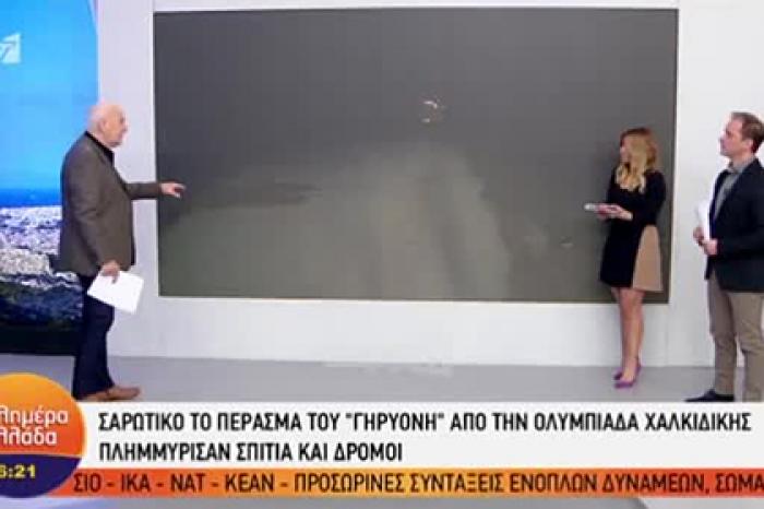 Свинья напала на журналиста в прямом эфире и искусала его