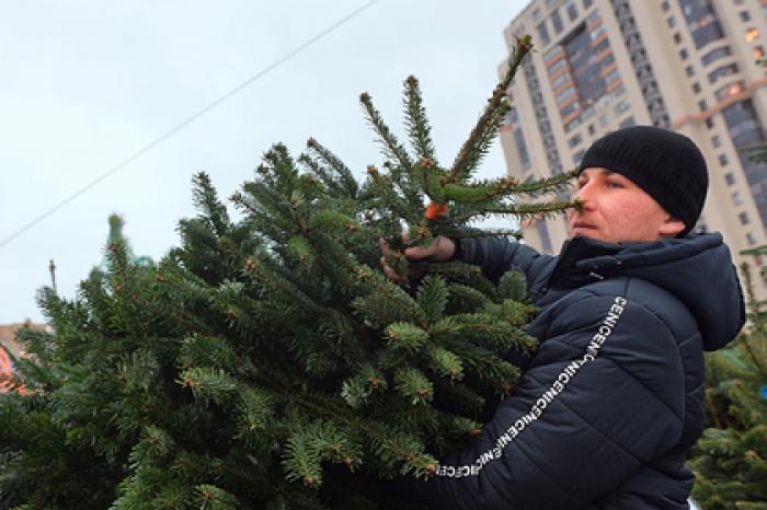 Россиянам раскрыли секрет Нового года без мусора