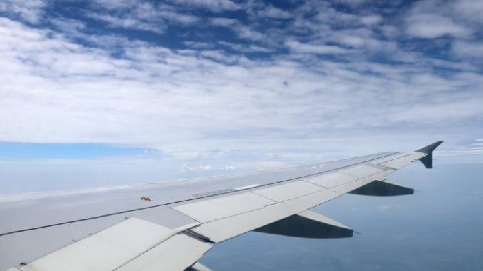 Спецкомиссия о приватизации "Air Moldova": авиакомпанию привели к плачевному состоянию искусственно