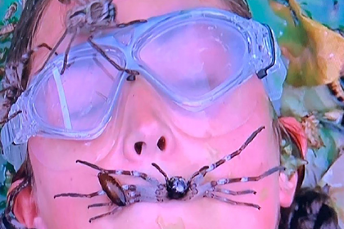 Участницу реалити-шоу засыпали червями и заставили взять в рот паука