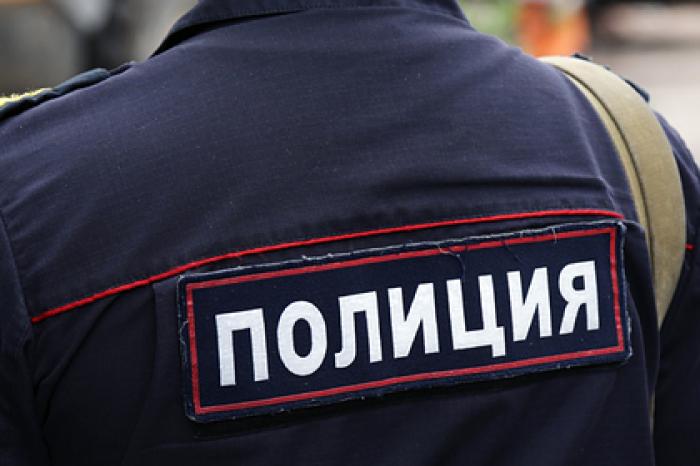 В российском городе собака таскала тело новорожденного