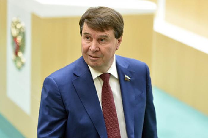 В Совфеде прокомментировали соглашение России и Украины по газу