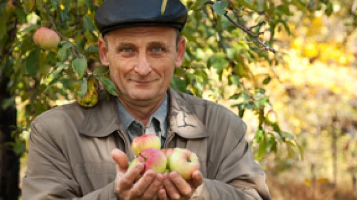 AGROCREDO. C ДОВЕРИЕМ К СЕЛЬХОЗПРОИЗВОДИТЕЛЯМ