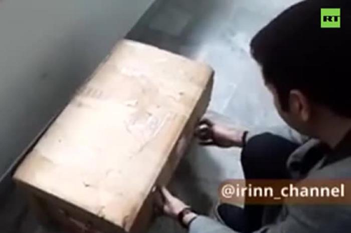 Черный ящик с упавшего украинского самолета показали на видео