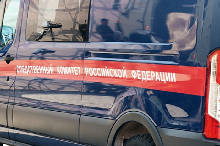 Россиянка с ребенком сгорели из-за новогодней гирлянды