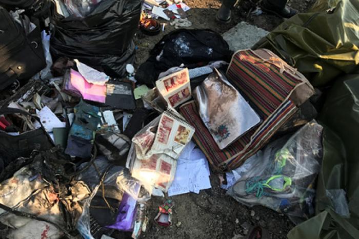 Стало известно о гражданстве пассажиров разбившегося в Иране украинского «Боинга»