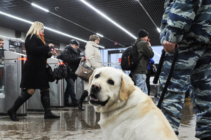 В московском метро назвали число выявленных в 2019 году нарушений